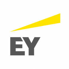Ernst & Young Деловые Женщины